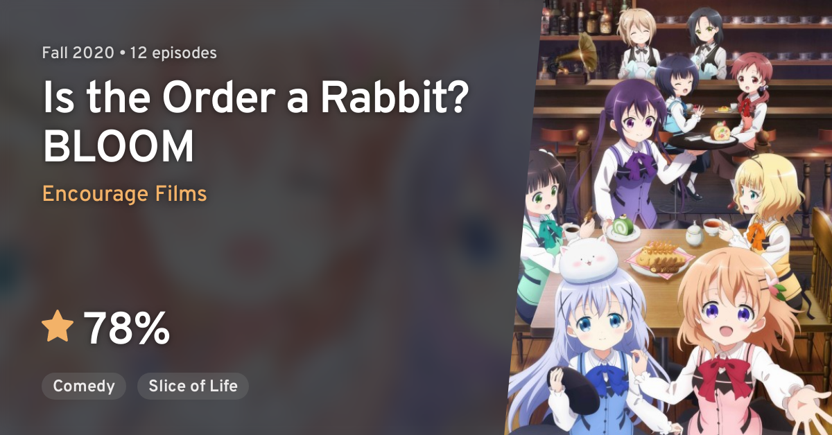 Gochuumon Wa Usagi Desu Ka Bloom Is The Order A Rabbit Bloom Anilist