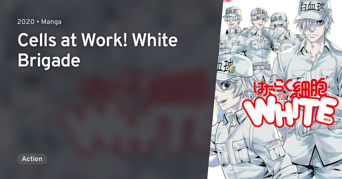 Characters appearing in Cells at Work! White Brigade Manga