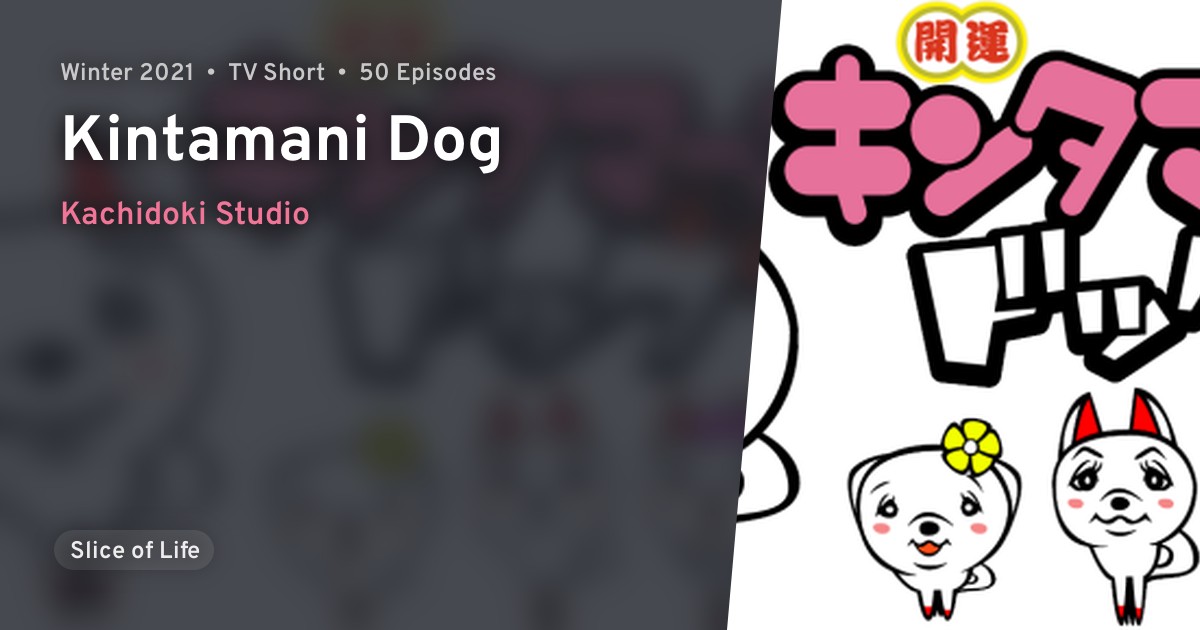 Kintamani Dog Anilist