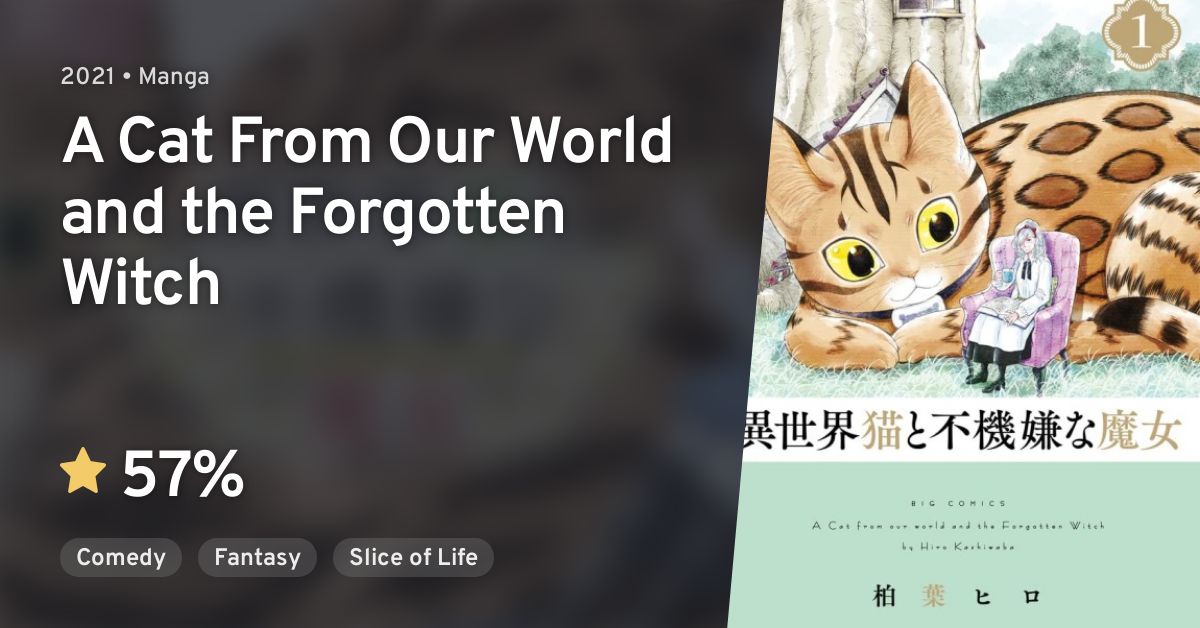 A Cat From Our World And The Forgotten Witch