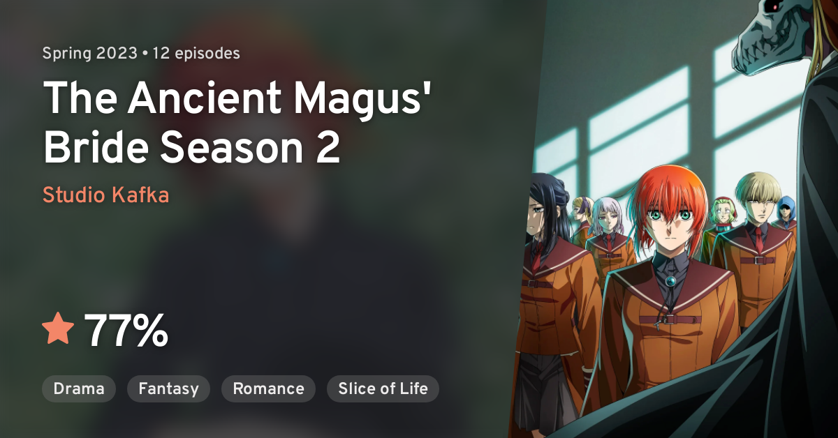 Just mages? 🤔 ◇ Add Mahoutsukai no Yome Season 2 Part 2 to your list on  MAL . . . . . #anime #mahoutsukainoyome #ancientmagusbride