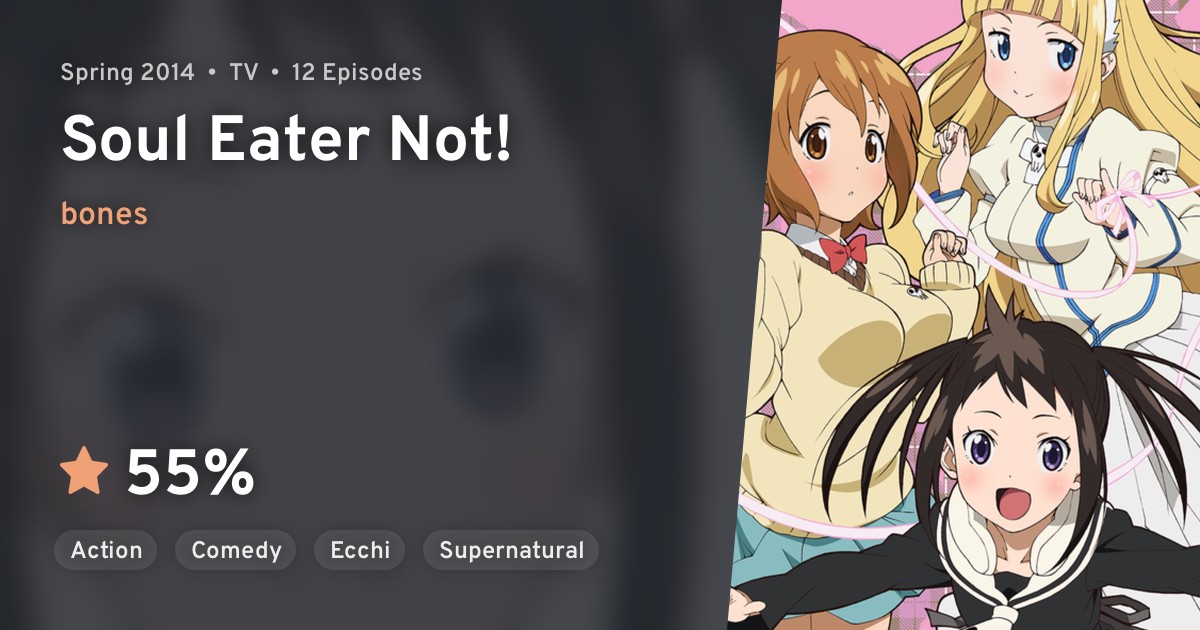 Anime Review: Soul Eater NOT!