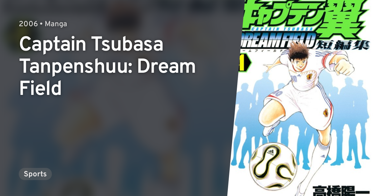 Captain Tsubasa Dream Field Anilist