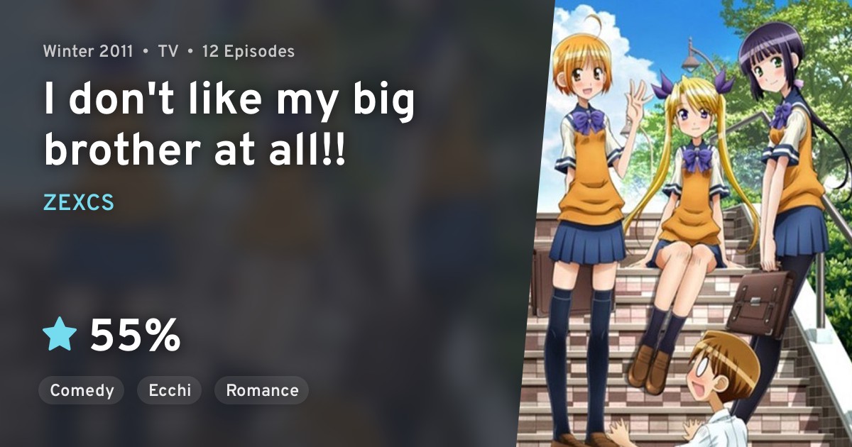 Oniichan no Koto nanka Zenzen Suki Janain Dakara ne!! (I